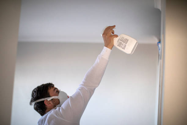 Best Mold Remediation  in West Union, IA